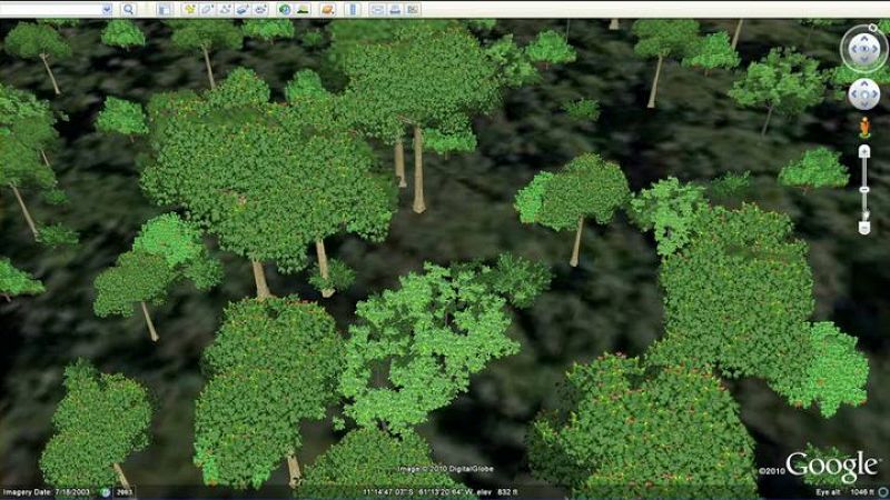 Google Earth 6: un paseo por el bosque en 3D