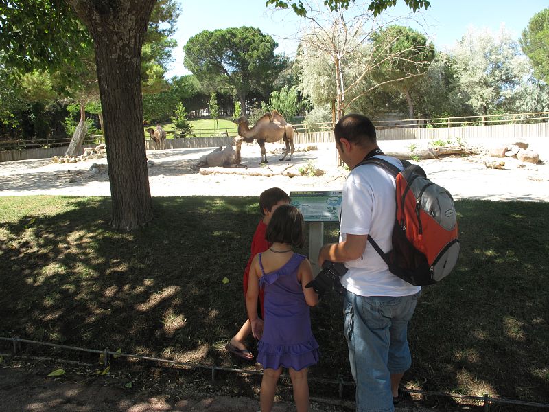 Padres y madres con custodia compartida: "Los niños no tienen la culpa, ellos no se separan"