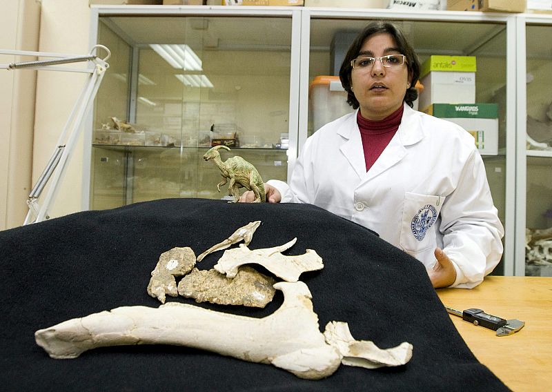 Descubren un dinosaurio con cresta y pico de pato, en un yacimiento de Huesca