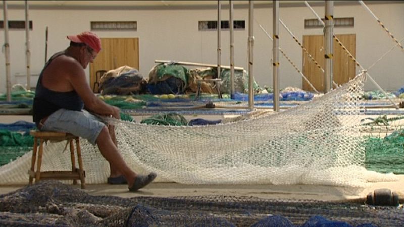 La UE acuerda aumentar un 15 % la cuota de pesca de la merluza en aguas españolas