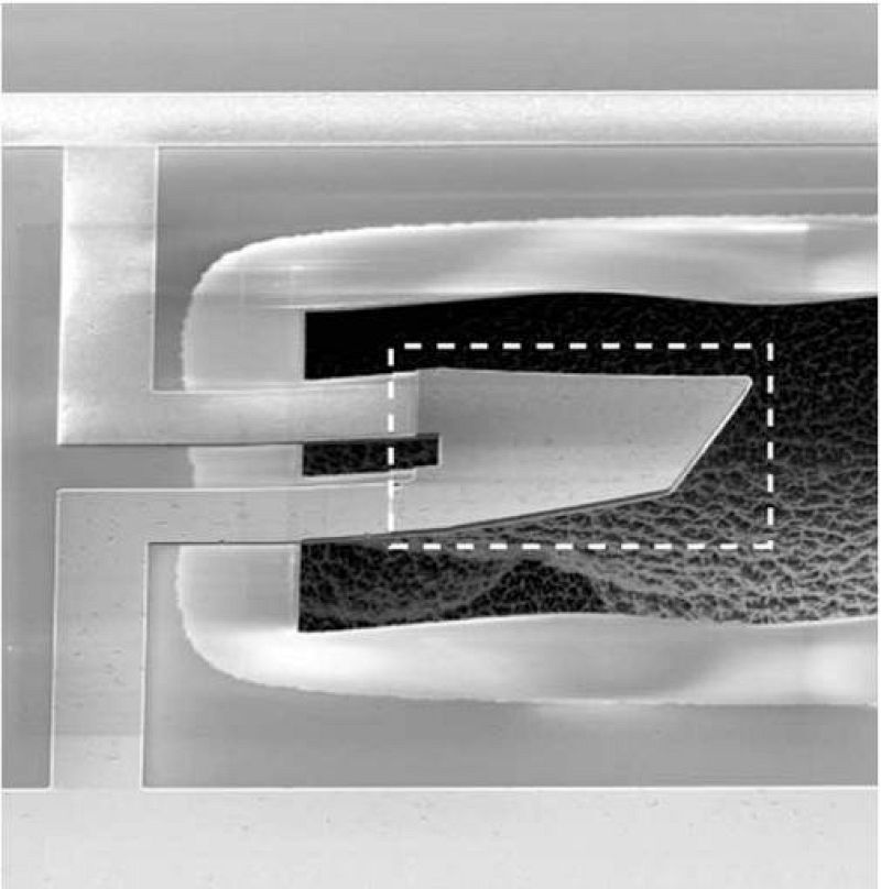 La primera máquina cuántica, el descubrimiento del año para la revista 'Science'