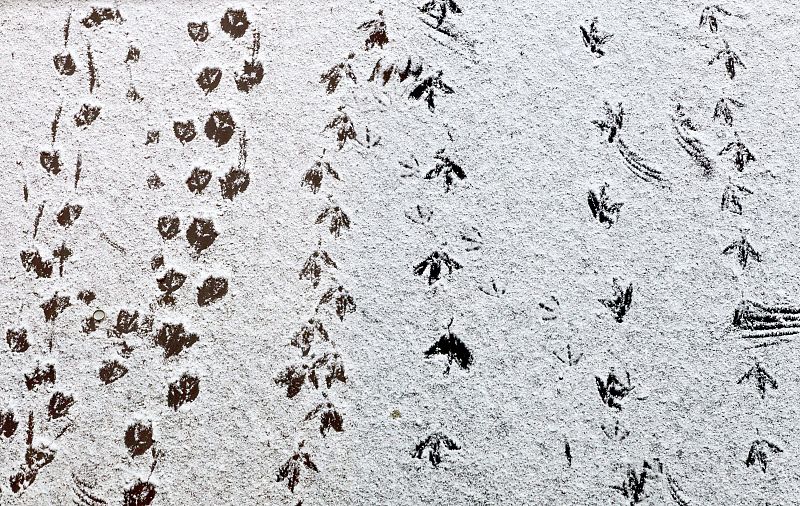 La nieve, el viento y el descenso de las temperaturas anuncian la Navidad