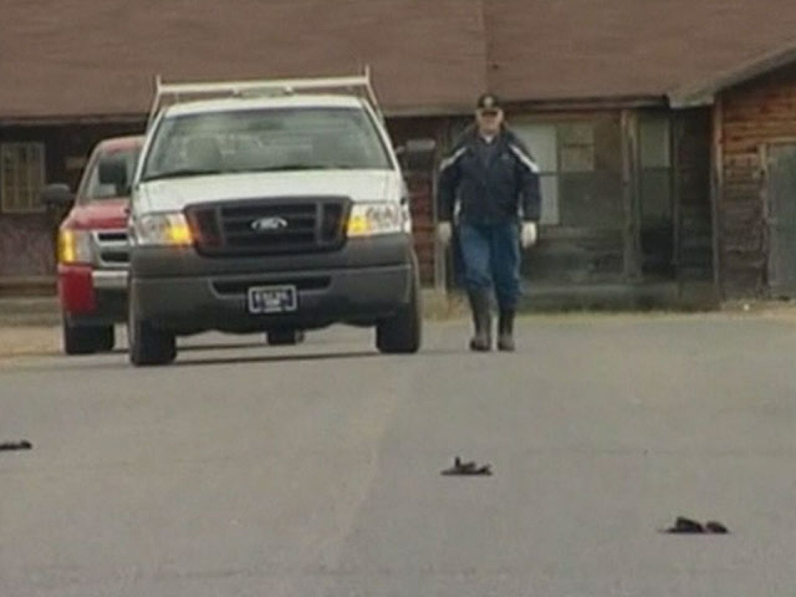 Miles de pájaros aparecen muertos en un pueblo de Arkansas, en Estados Unidos | Ver