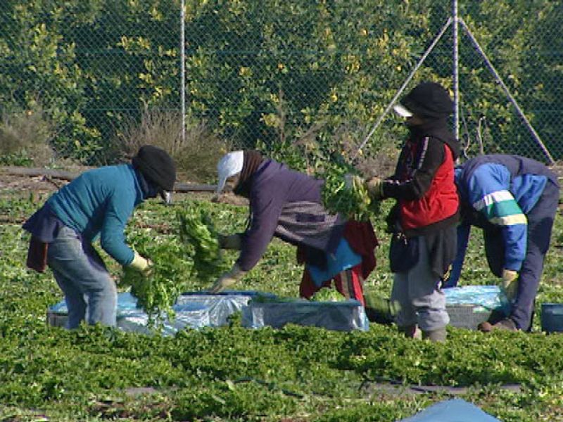 El paro registrado cierra 2010 con 4.100.073 desempleados pese a que mejora en diciembre