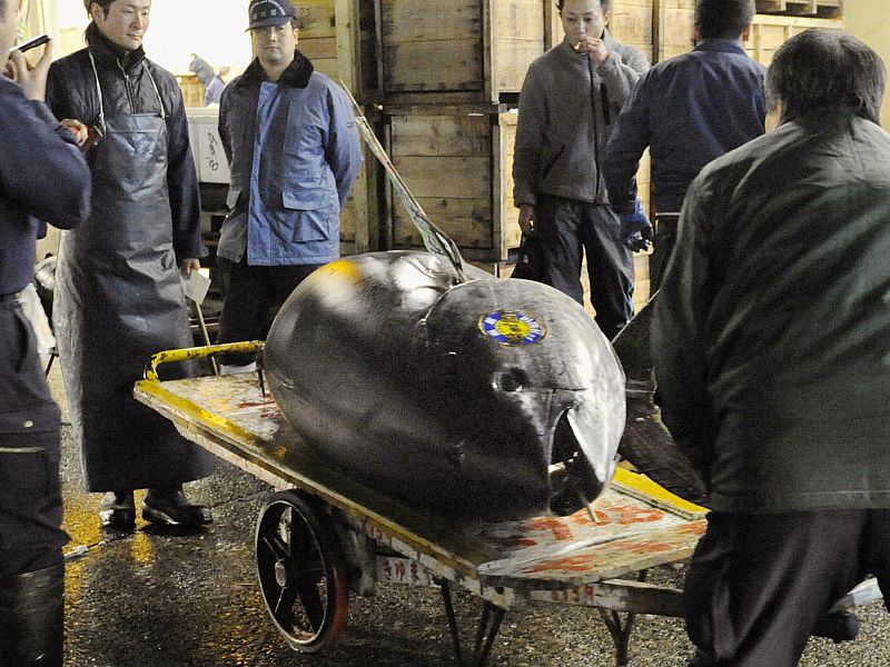 Un atún rojo alcanza el precio de 300.000 euros en Tokio