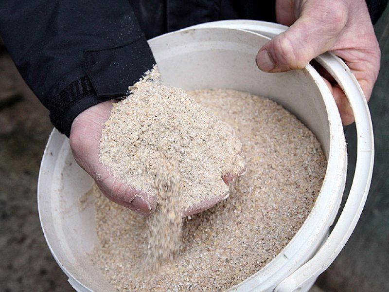 El Gobierno alemán sugiere un "origen criminal" en la contaminación de piensos animales