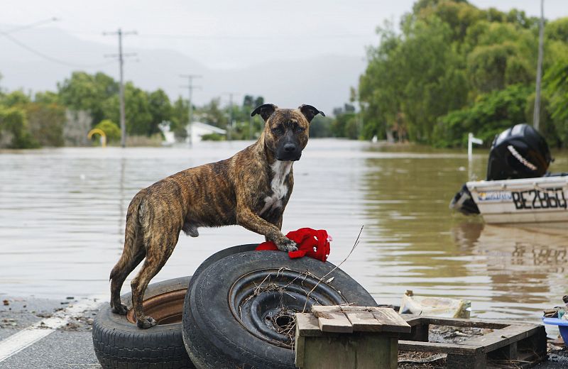 La primera ministra de Australia alerta del alto coste de las inundaciones