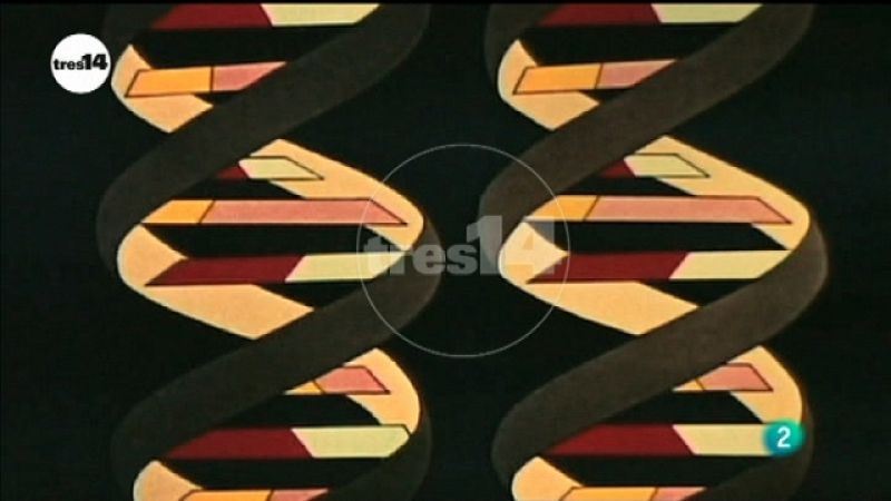 herencia genética / tres14