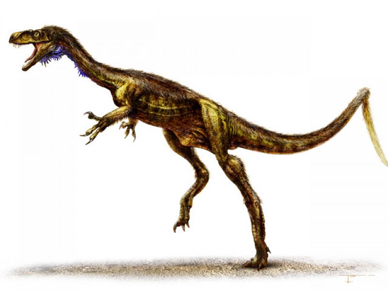 El Eodromaeus, un dinosuario carnívoro, ágil y similar al T-Rex, en diminuto