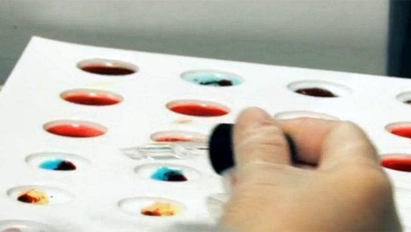 La capacidad de regenerar órganos y tejidos a partir de células madre empieza a ser una realidad