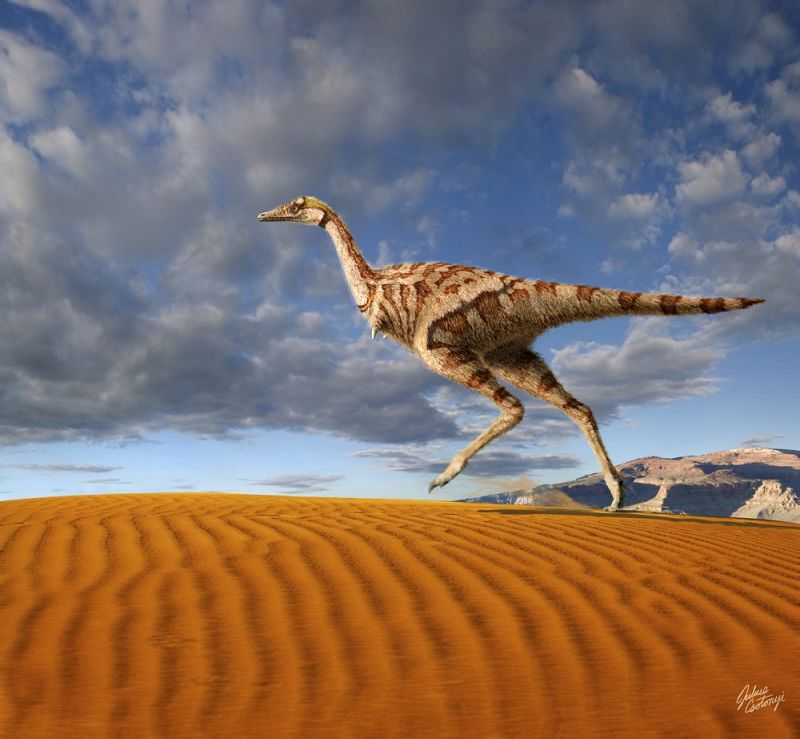El primer dinosaurio del mundo con un solo dedo
