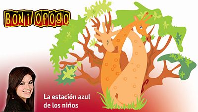 La estación azul de los niños - El baobab y su tesoro interior