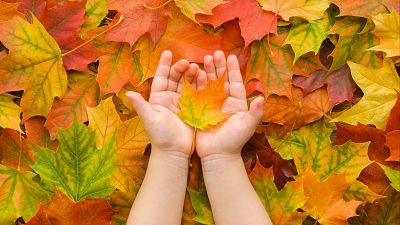 La estación azul de los niños - Como hojas que se caen