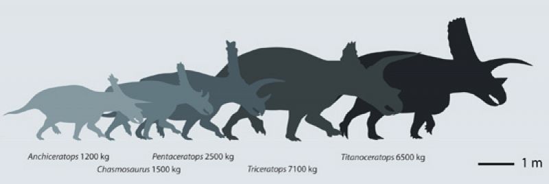Titanoceratops, el hermano mayor del Triceratops