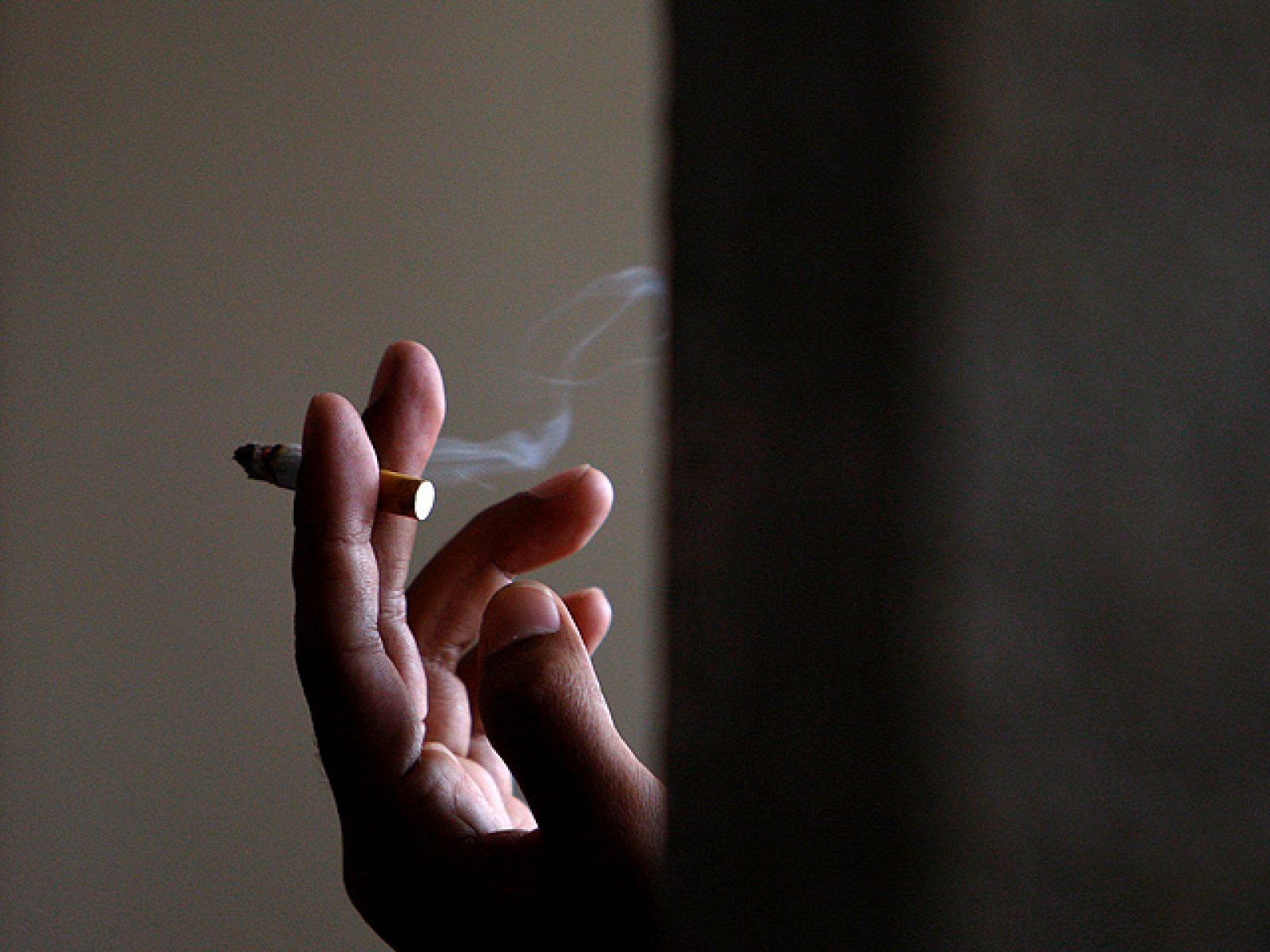 Una vida saludable evitaría el 40% de los casos de cáncer