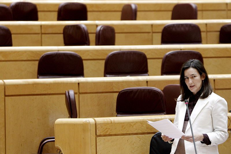 ¿Qué camino le queda a ley Sinde?