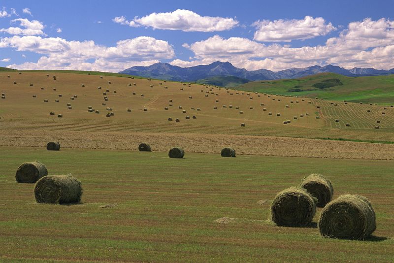 La economía social se consolida y supone el 10% del PIB y del empleo en España