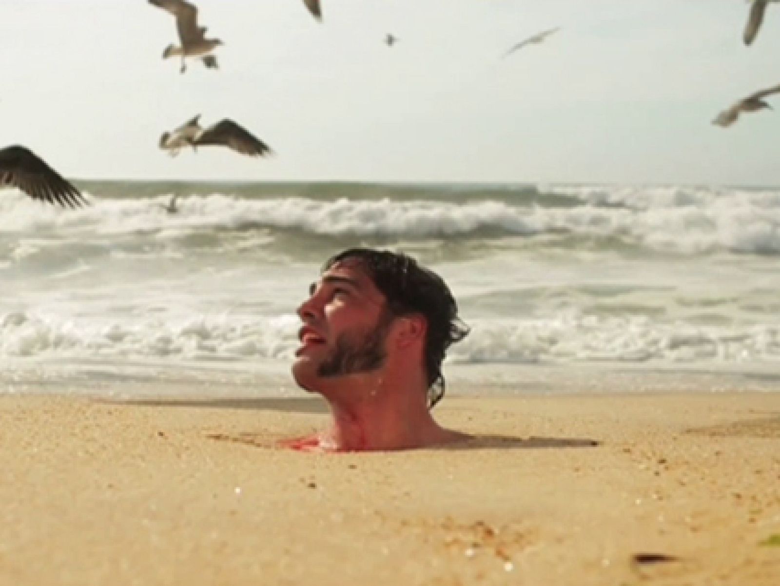 Medina del Campo: Dinero - Mentiras | Ver