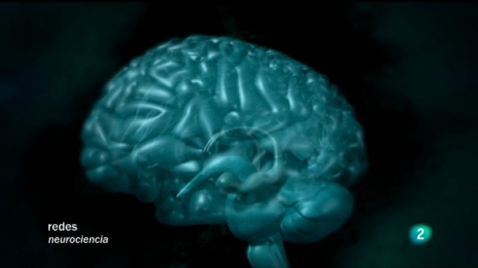 Redes - Antes y después de conocer el cerebro - Redes | Ver