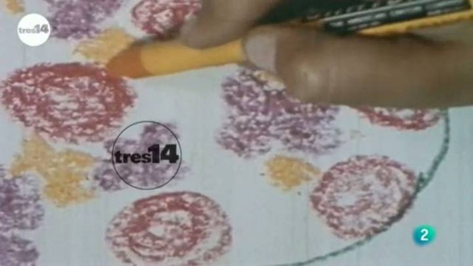 ¿Qué se investiga hoy sobre el color? ¿Qué podemos saber sobre el color de lo que comemos? ¿los mamíferos ven los mismos colores?