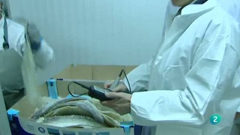 'Si te dicen qué comí', seleccionado para los premios 'UBAN TV'