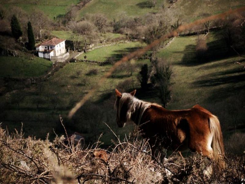 Sidra, gaitas y fabada, 'Destino: España' vuelve a Asturias