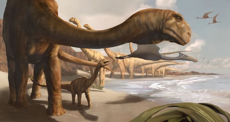 Un dinosaurio angoleño, el último superviviente de los saurópodos primitivos