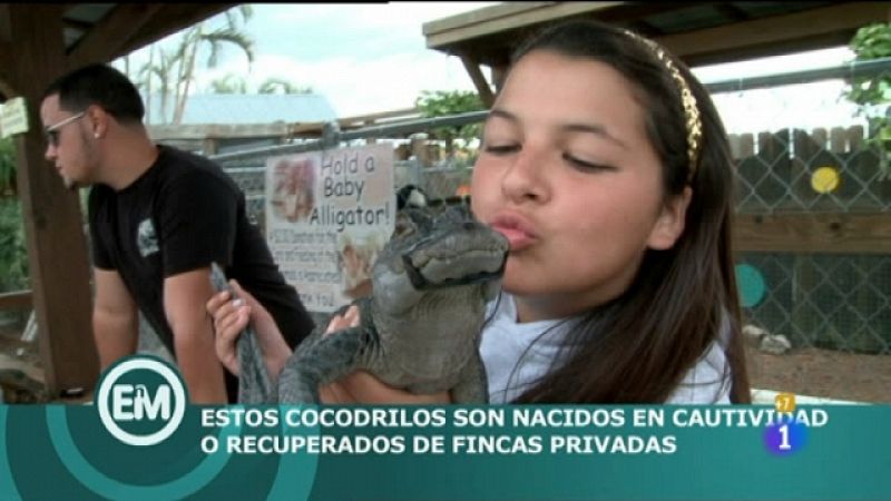 Miami, un paraíso tropical y centro financiero en 'Españoles en el mundo'