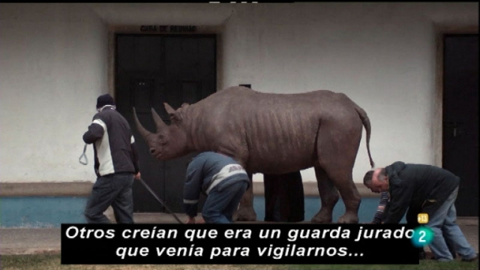 Metrópolis - Javier Tellez - Ver ahora