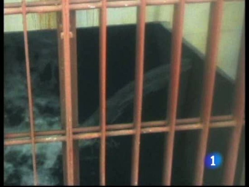 Tepco da por sellada la grieta por la que se fugaba agua radiactiva del reactor 2 de Fukushima