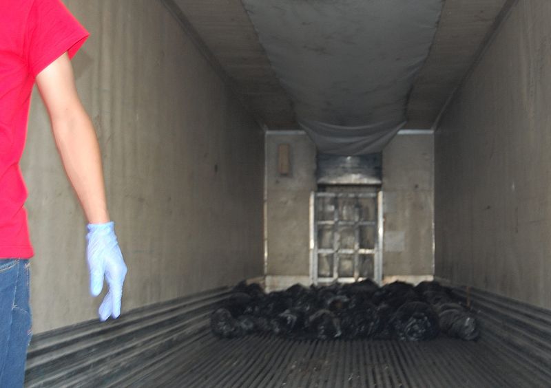 Ascienden a 120 los cadáveres hallados en varias fosas del noreste de México