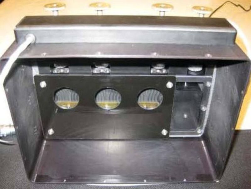 Arañas VS. moscas de la fruta en el espacio