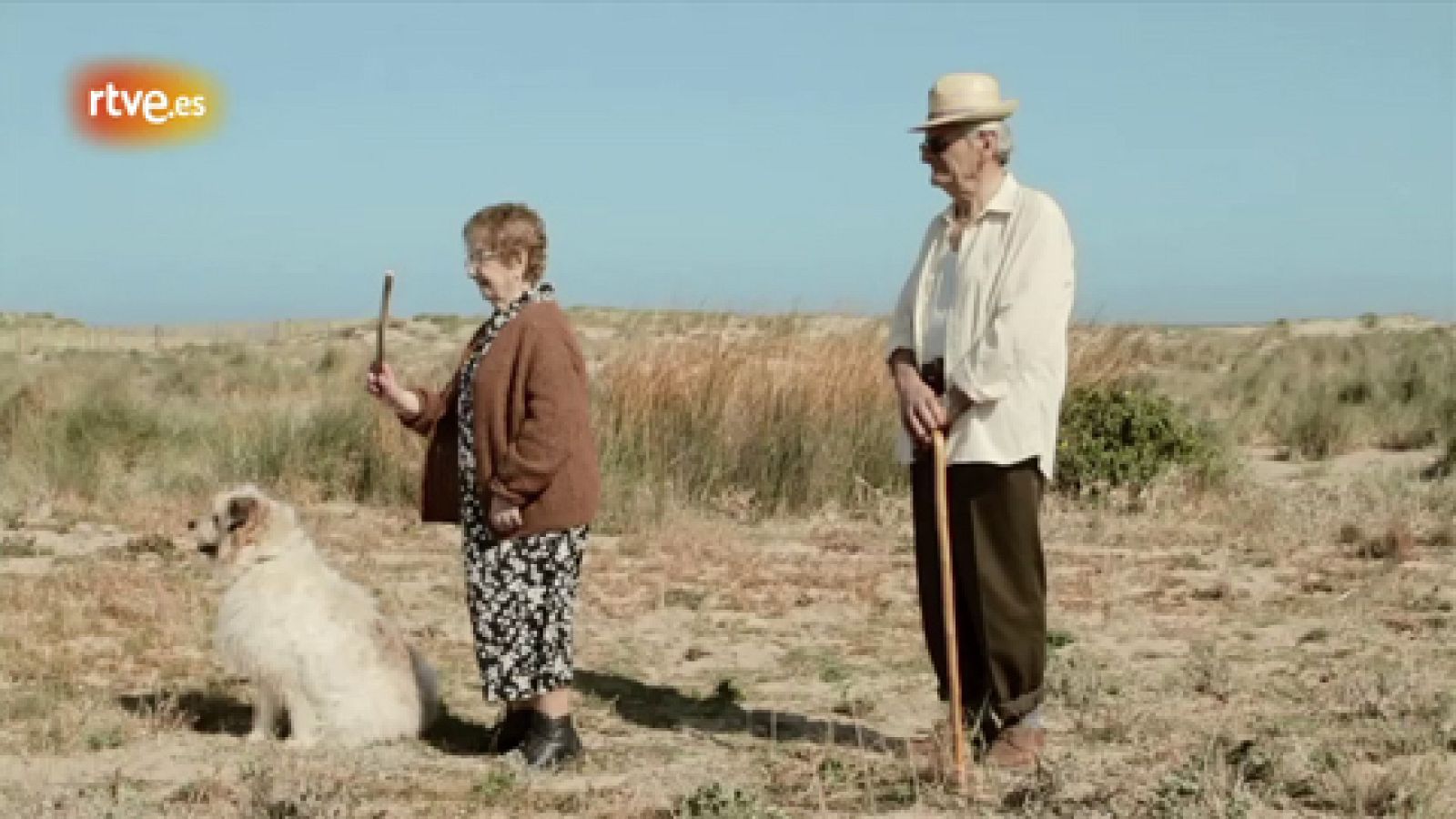 Wild Honey - 1918-1920 | Ver