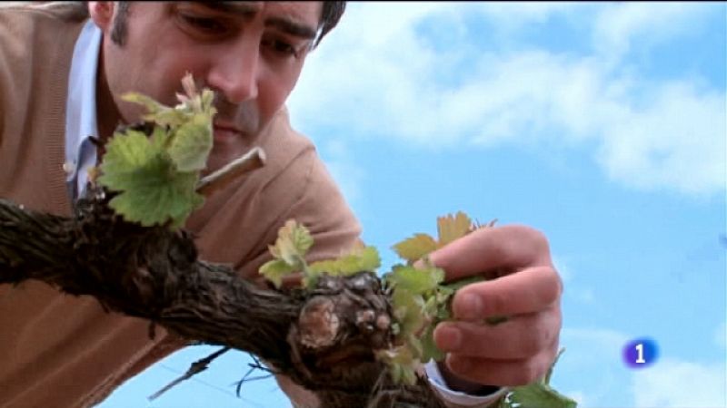 En Navarra para cumplir sueños