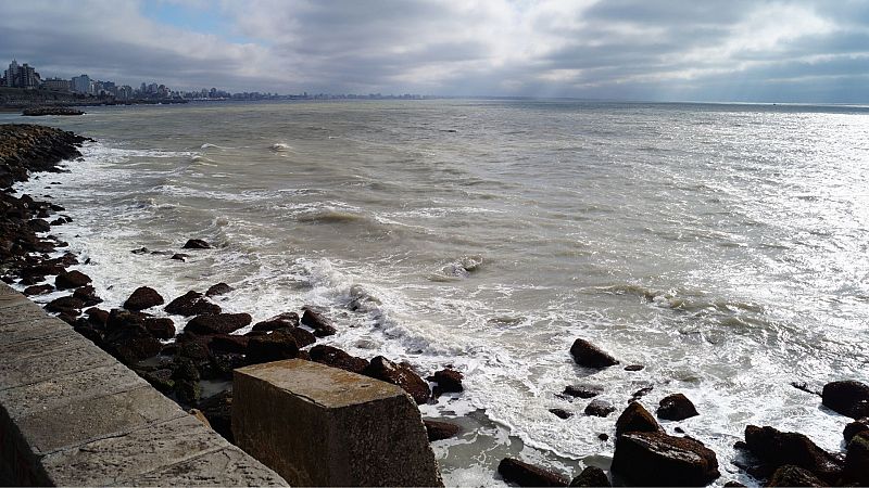 Alfonsina Storni: socialista, atea y madre soltera