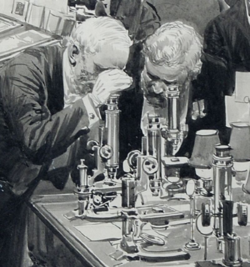 Royal Society, escuela de genios