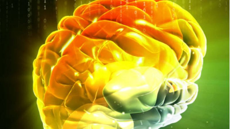 Joseph Altman, Árturo Álvarez-Buylla, Giacomo Rizzolatti, viaje al centro del cerebro humano