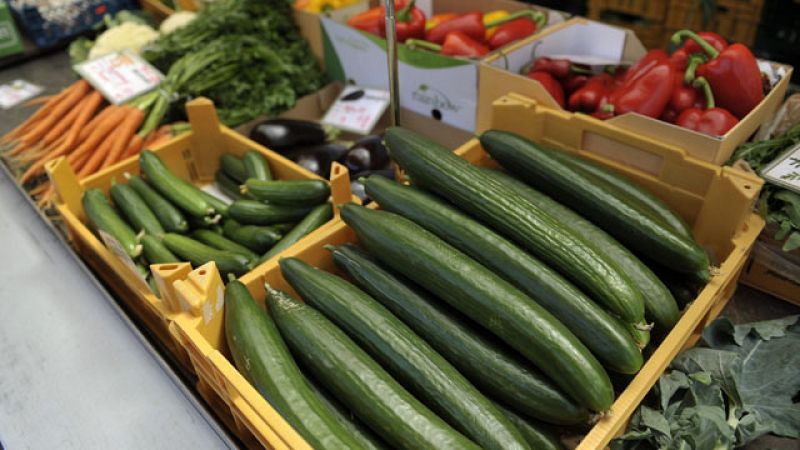 La CE alerta de que un foco confirmado del brote infeccioso de pepinos está en España