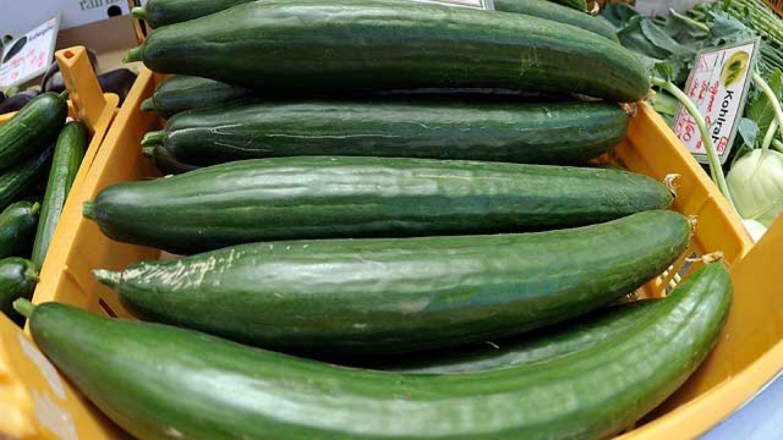 Los pepinos contaminados con la bacteria E.coli pudieron contaminarse al caerse un palé en el mercado central de Hamburgo el pasado día 16 de mayo. Así lo ha afirmado el gerente de la empresa Frunet, de Málaga, a TVE.Antonio Lavao ha asegurado que l