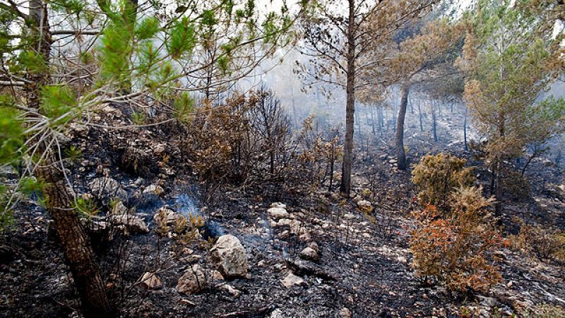Sigue sin control el incendio de Ibiza, que quemado el 2,5% de la superficie de la isla
