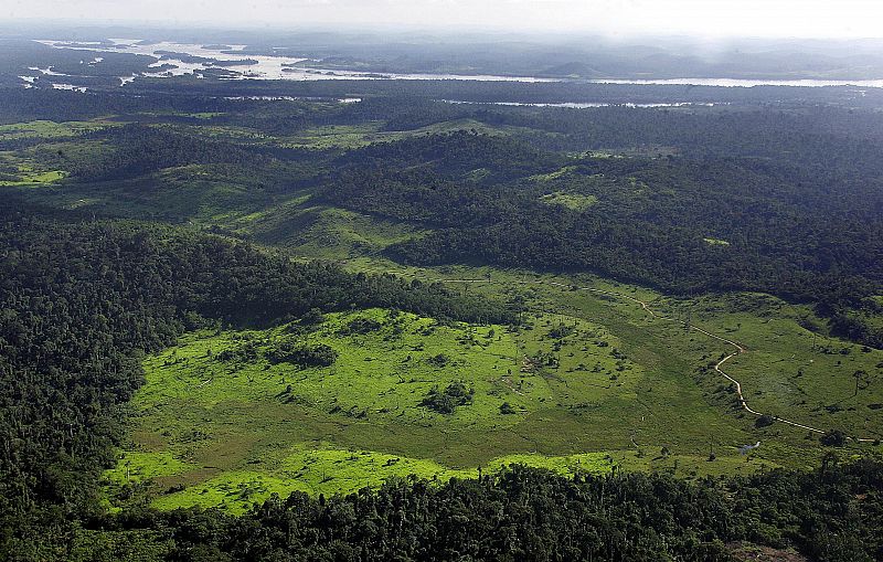 El Gobierno brasileño da luz verde a la construcción de la polémica presa del Amazonas