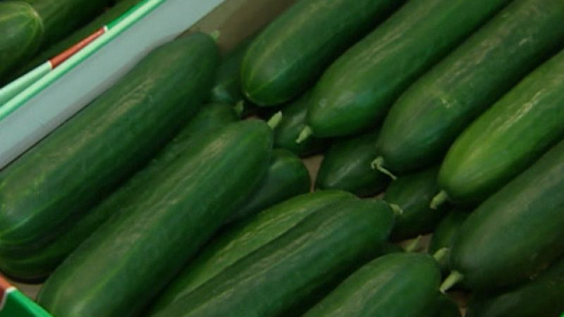 El Gobierno lanzará campañas para impulsar el consumo de fruta y verdura la próxima semana