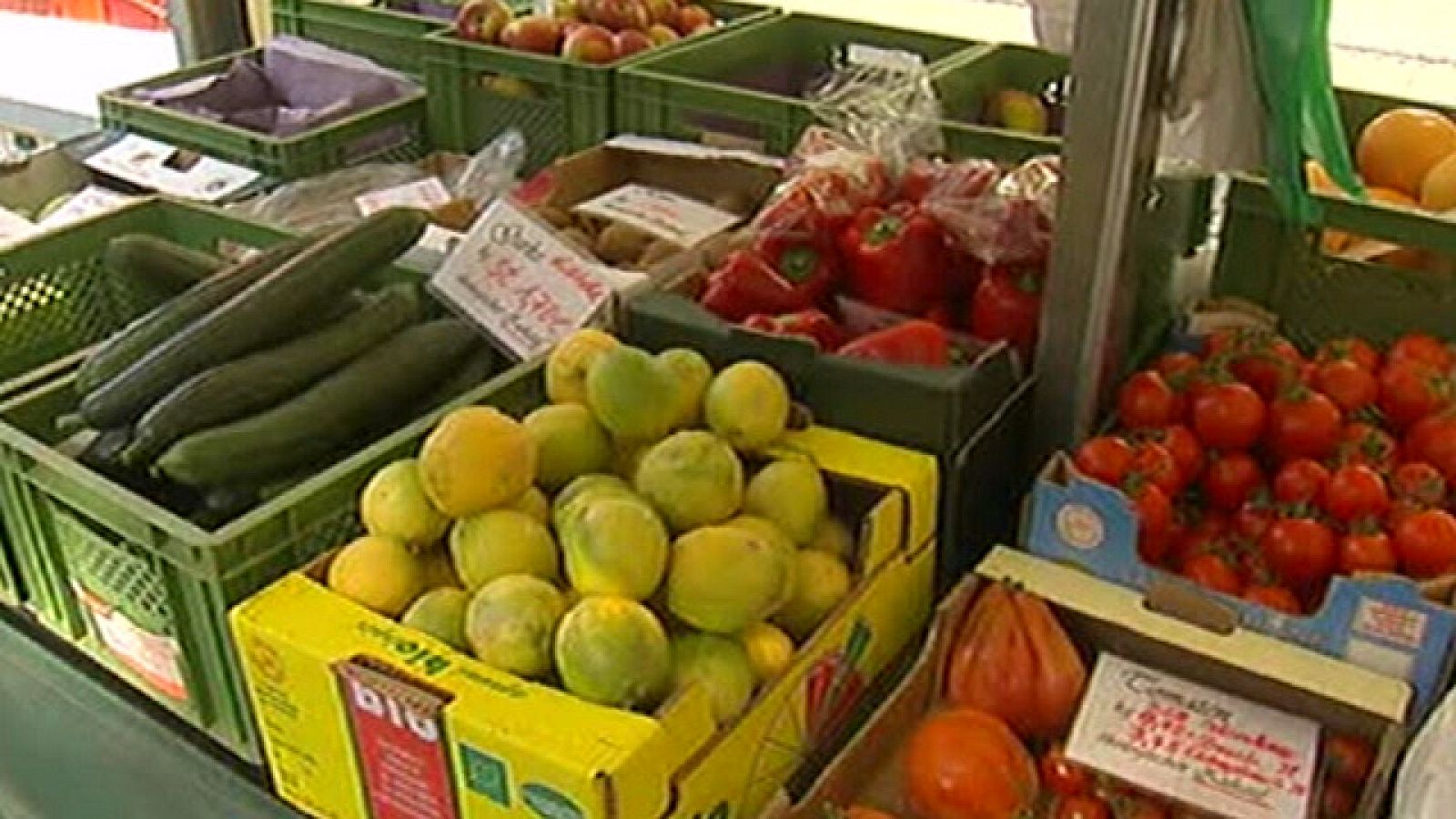 La bacteria E.Coli tiene su origen los brotes para Ensalada