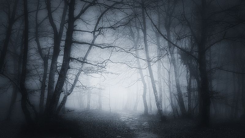 ¿Te atreves a contarnos una historia de terror?