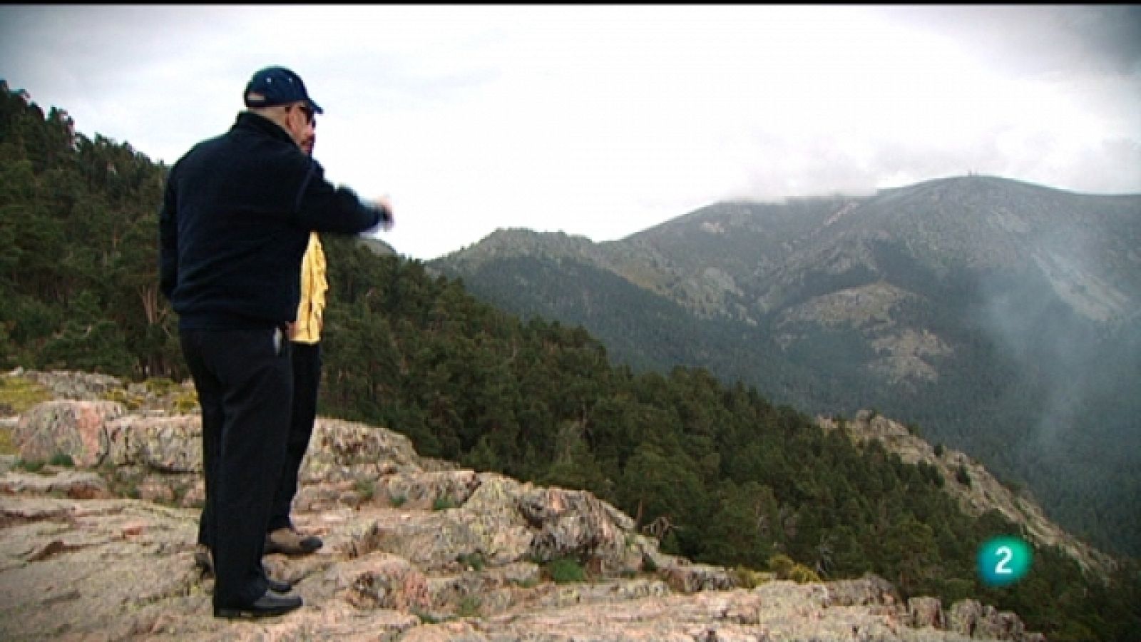 El escarabajo verde - Todos contra el fuego - Ver ahora