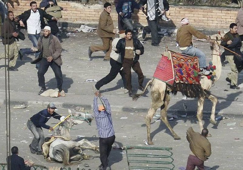 La "batalla del camello" de la plaza Tahrir llevará ante la justicia a 25 exdirigentes egipcios