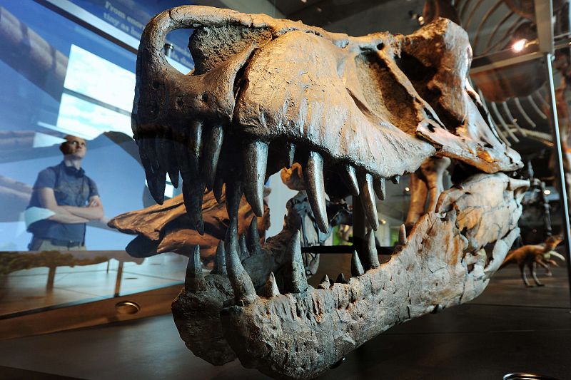 Los dinosaurios enseñan los dientes en Los Ángeles