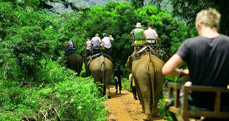 La malaria y el dengue, el mayor peligro de los viajes a destinos exóticos