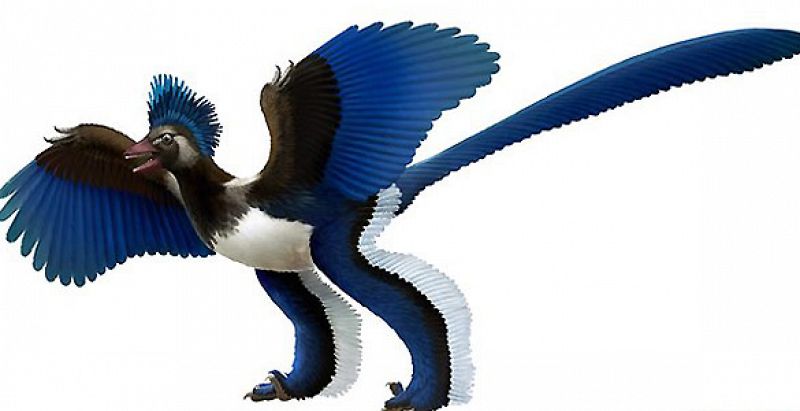 Desenmascaran al dinosaurio que se hizo pasar por pájaro durante 150 años
