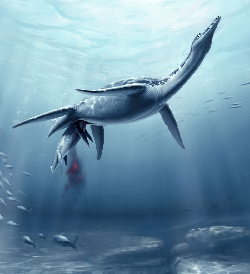 El gigantesco reptil marino que daba a luz en el agua y cuidaba de sus crías al nacer